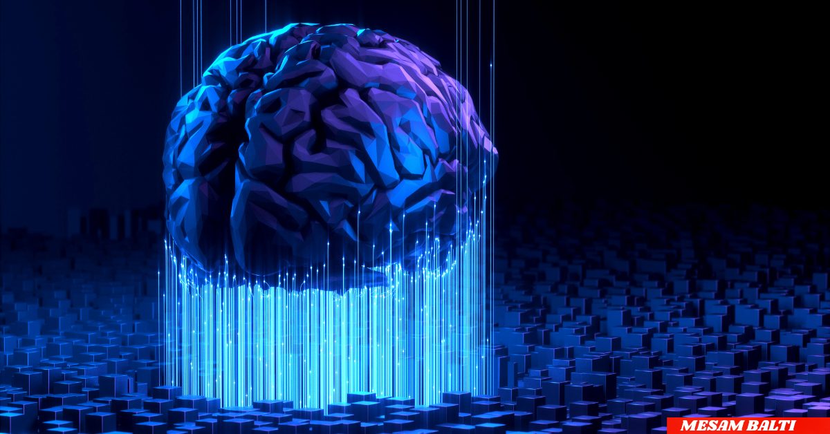 Cognitive & Sensory Support